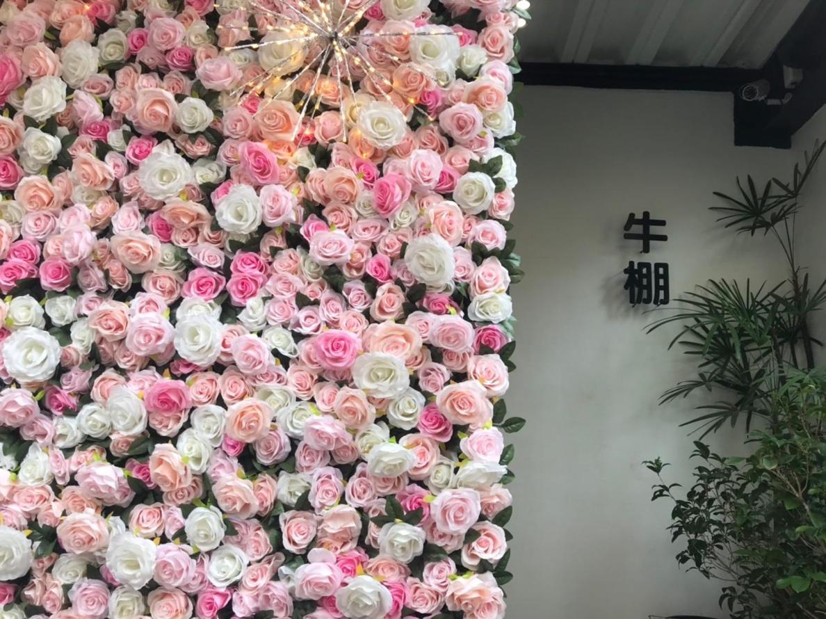 Donghai Cottage Backpack Inn Suite Longjing Dış mekan fotoğraf